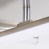 Eriz Plafondlamp LED Nikkel mat, 4-lichts, Afstandsbediening, Kleurwisselaar