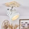 Herford Plafondlamp Natuurlijke kleuren, Wit, 1-licht