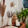 Herford Muurlamp Natuurlijke kleuren, Wit, 1-licht