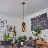Maschwanden Hanger Goud, 1-licht