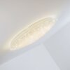 Deckenleuchte Plafondlamp LED Wit, 1-licht, Afstandsbediening
