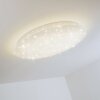 Deckenleuchte Plafondlamp LED Wit, 1-licht, Afstandsbediening