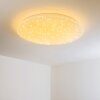 Deckenleuchte Plafondlamp LED Wit, 1-licht, Afstandsbediening