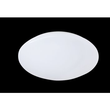 Reality PUTZ Plafondlamp LED Wit, 1-licht