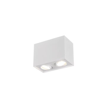 Trio verlichting BISCUIT Plafondlamp Wit, 2-lichts