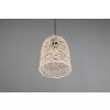Reality Lovis Hanglamp Zwart, 1-licht