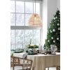 Reality Rike Hanger Zwart, 1-licht