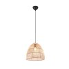Reality Rike Hanger Zwart, 1-licht