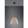 Reality Rike Hanger Zwart, 1-licht