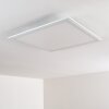 Voisines Plafondpaneel LED Wit, 1-licht, Afstandsbediening, Kleurwisselaar
