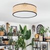 Foggia Plafondlamp Nikkel mat, 3-lichts