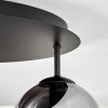 Gastor Plafondlamp, Kogellampje 45 cm Chroom, Duidelijk, Rookkleurig, 5-lichts