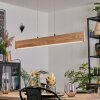 Fugelsta Hanglamp, Hanglamp LED Zwart, 1-licht