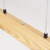 Fugelsta Hanglamp, Hanglamp LED Zwart, 1-licht
