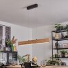 Fugelsta Hanglamp, Hanglamp LED Zwart, 1-licht