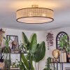 Foggia Plafondlamp Nikkel mat, 3-lichts