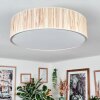 Foggia Plafondlamp Nikkel mat, 3-lichts