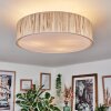 Foggia Plafondlamp Nikkel mat, 3-lichts