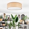 Antillo Plafondlamp Bruin, Natuurlijke kleuren, Wit, 3-lichts