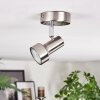Edain Plafondlamp, Plafondspot LED Chroom, Nikkel mat, 1-licht