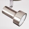 Edain Plafondlamp, Plafondspot LED Chroom, Nikkel mat, 1-licht