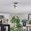 Edain Plafondlamp, Plafondspot LED Chroom, Nikkel mat, 1-licht