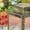 Tieva Plint licht, Pad licht Bruin, Goud, 1-licht