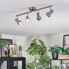 Edain Plafondlamp, Plafondspot LED Chroom, Nikkel mat, 4-lichts