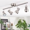 Edain Plafondlamp, Plafondspot LED Chroom, Nikkel mat, 4-lichts