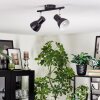 Farel Plafondlamp, Plafondspot Chroom, Zwart, 2-lichts