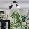 Farel Plafondlamp, Plafondspot Chroom, Zwart, 2-lichts