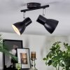 Farel Plafondlamp, Plafondspot Chroom, Zwart, 2-lichts