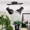 Farel Plafondlamp, Plafondspot Chroom, Zwart, 2-lichts