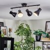 Farel Plafondlamp, Plafondspot Chroom, Zwart, 4-lichts
