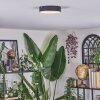 Elmar Plafondlamp LED Zwart, 1-licht
