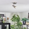 Firan Plafondlamp, Plafondspot LED Chroom, Nikkel mat, 1-licht