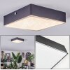 Esmar Plafondlamp LED Zwart, 1-licht