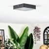 Esmar Plafondlamp LED Zwart, 1-licht