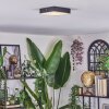 Esmar Plafondlamp LED Zwart, 1-licht
