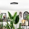 Esmar Plafondlamp LED Zwart, 1-licht