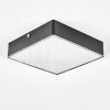 Esmar Plafondlamp LED Zwart, 1-licht