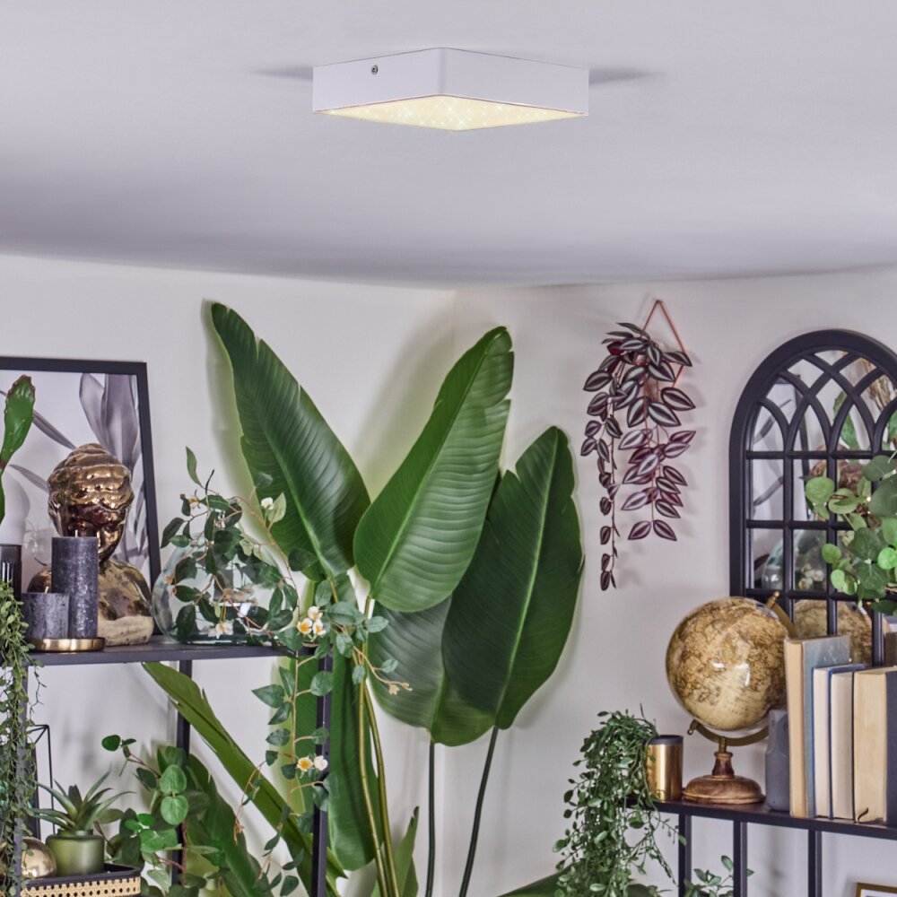 Esmar Plafondlamp LED Wit, 1-licht
