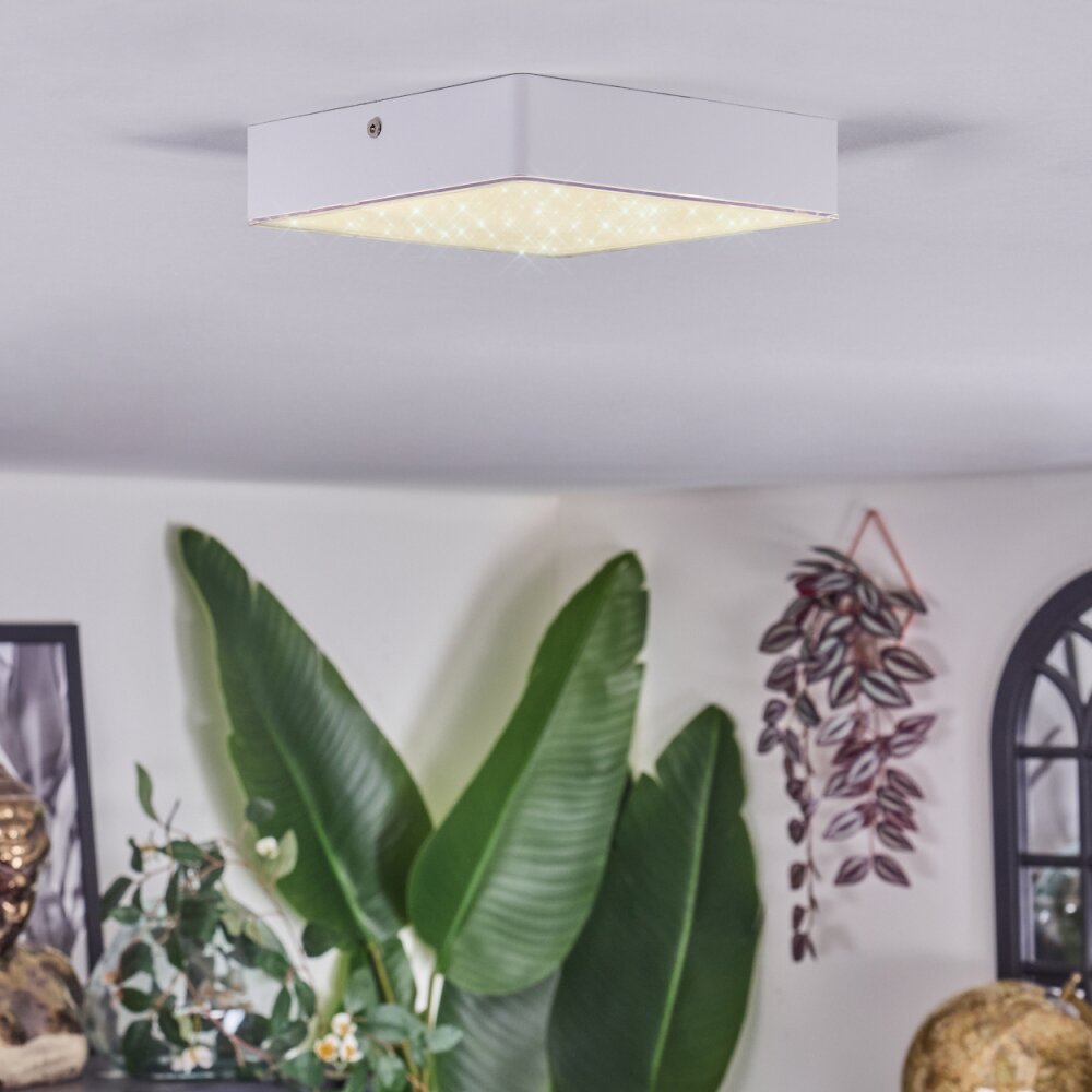 Esmar Plafondlamp LED Wit, 1-licht