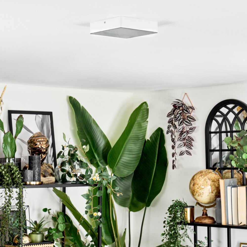 Esmar Plafondlamp LED Wit, 1-licht