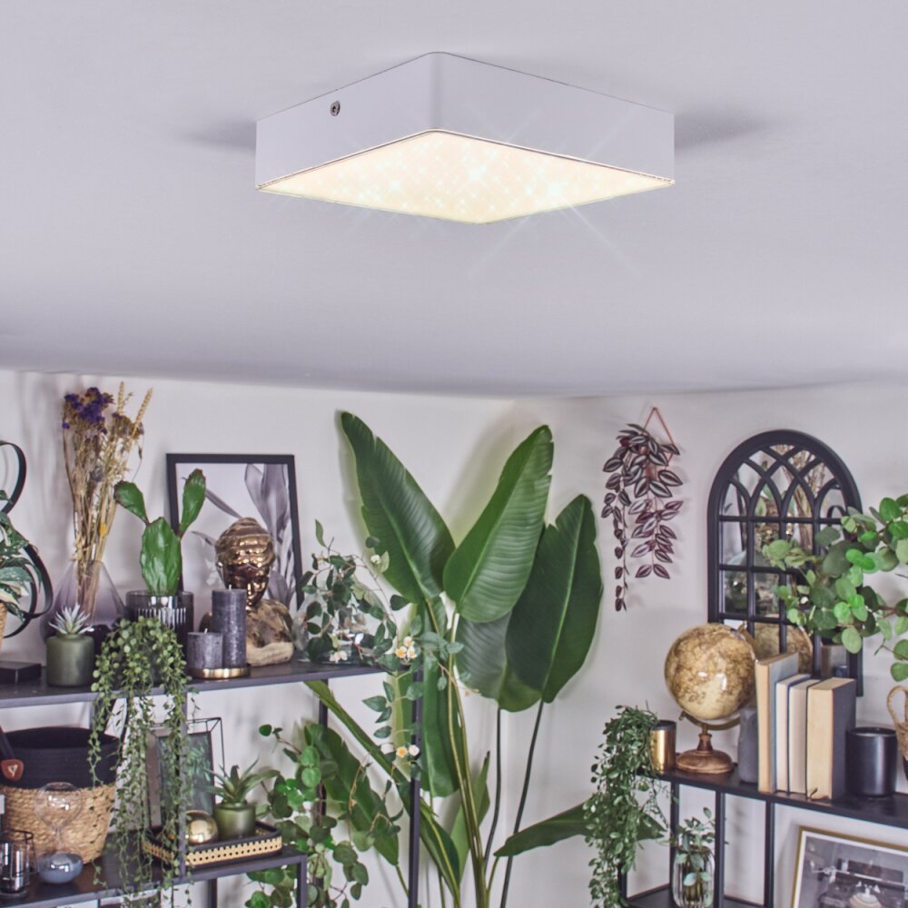 Esmar Plafondlamp LED Wit, 1-licht