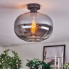 Apedo Plafondlamp Rookkleurig, 1-licht