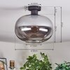 Apedo Plafondlamp Rookkleurig, 1-licht