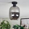 Apedo Plafondlamp Rookkleurig, 1-licht
