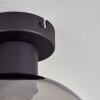Apedo Plafondlamp Rookkleurig, 1-licht