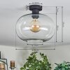 Apedo Plafondlamp Duidelijk, 1-licht